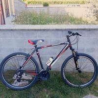 Bicicletta Casadei uomo