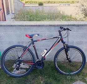 Bicicletta Casadei uomo