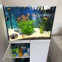 Acquario Juwel LIDO 120 LED