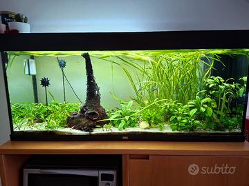 bomba sottomarina acquario 