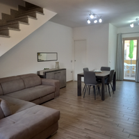 Trasfertisti e insegnanti