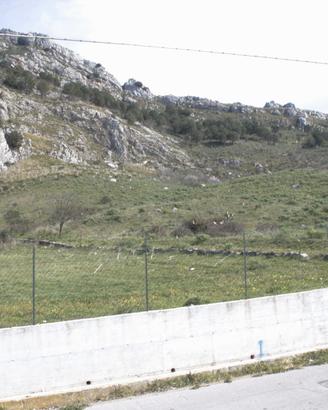Terreno agricolo con casa rustica
