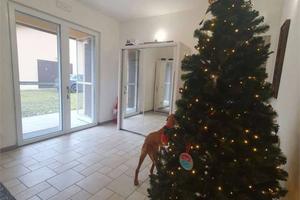 Casa indipendente di 320 m² con più di 5 locali e 