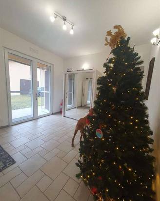 Casa indipendente di 320 m² con più di 5 locali e 