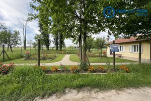 TERRENO EDIFICABILE / AGRICOLO - BADIA POLESINE