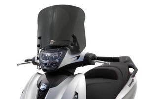 Cupolino Piaggio Beverly