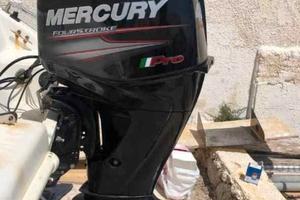 Mercury Pro 40/60 4T - 2021 - h120