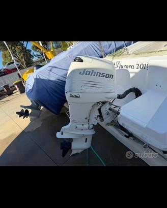 Motore fuoribordo johnson