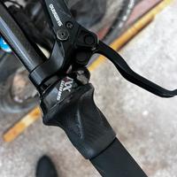 Bianchi Methanol Sx 29”