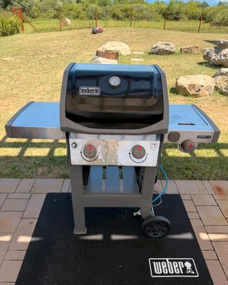Barbecue Weber Spirit II