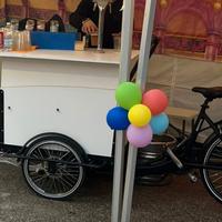 bici triciclo  Schiano pedalata assistita