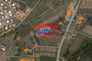 Terreno di 3470 m² a Sessa Aurunca