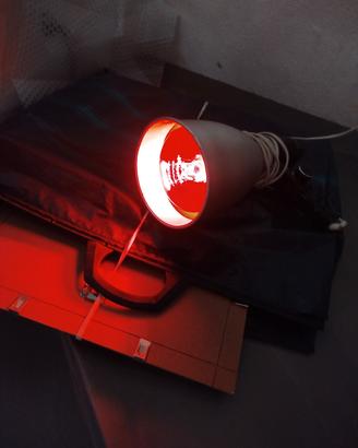 phone Lampada raggi infrarossi 