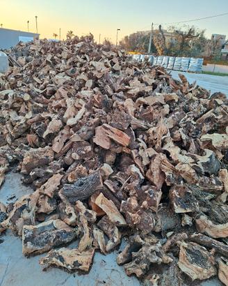 LEGNA DA ARDERE RADICE DI ULIVO 7€