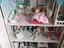 Immagine 1