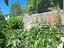 Immagine 29