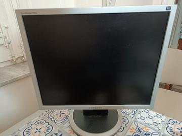 Schermo PC 17,5 pollici