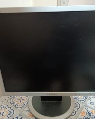 Schermo PC 17,5 pollici