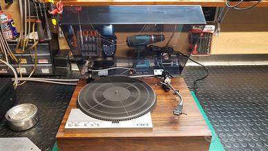 Taya DP-500 Vintage Full service