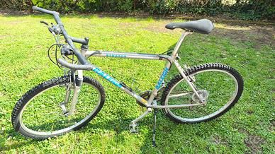 Bicicletta da uomo
