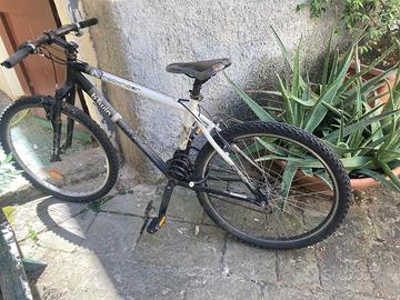 bicicletta