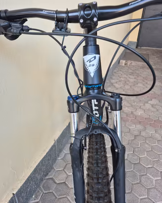mtb 29 daytona  front