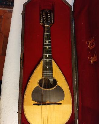mandolino (Achille Capannari)