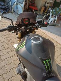 kawasaki z1000 anno 2004