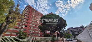 PENTAVANI CON P.AUTO
