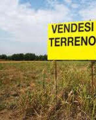 Terreno agric. a - CasciavolaCascina