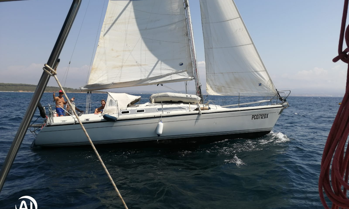 DEHLER 36 CWS Fiocco autovirante con rullafiocco