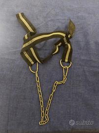 attrezzatura palestra 