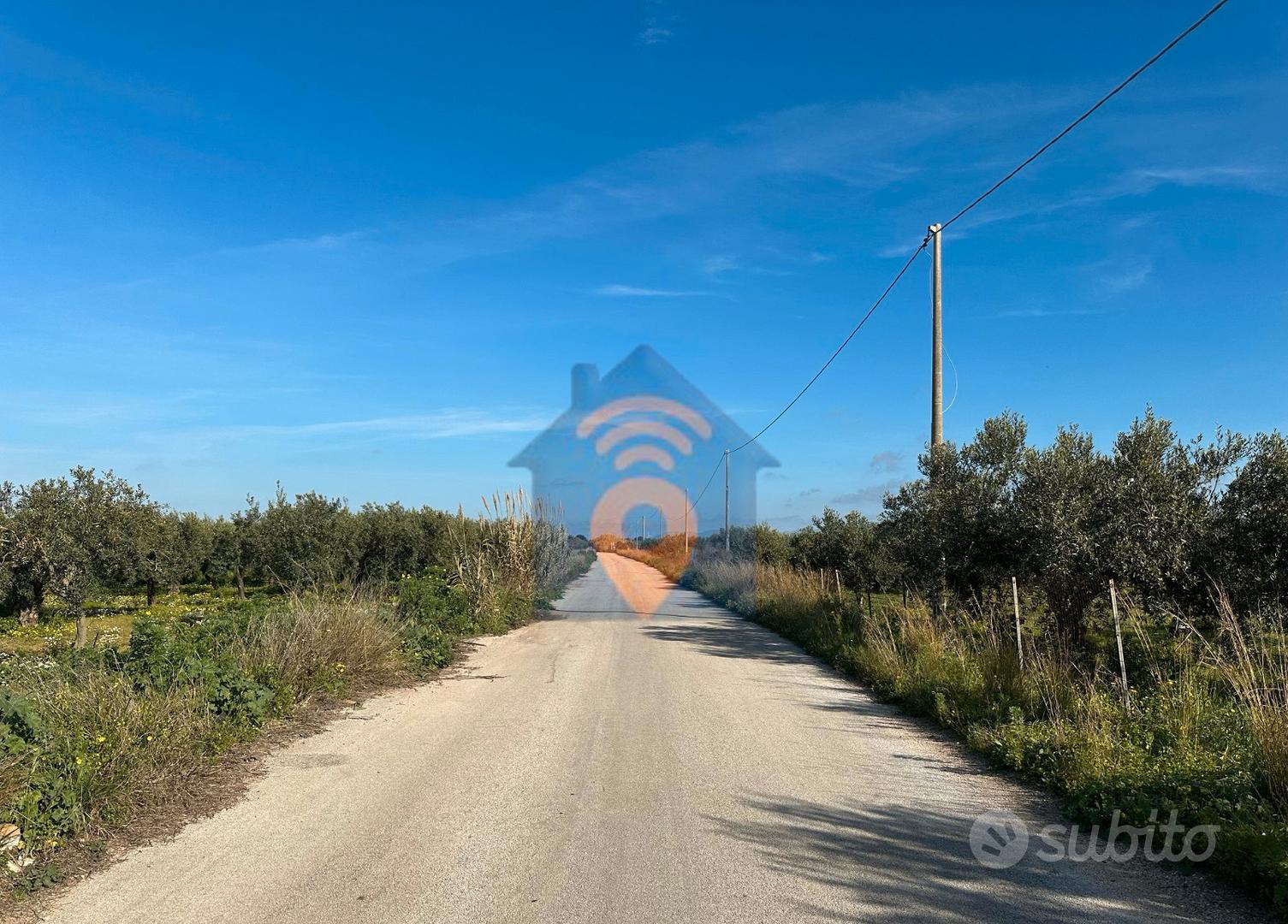 Mazara Del Vallo Terreno Agricolo Del Tipo Uliveto - Vista 2