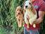 Immagine 5