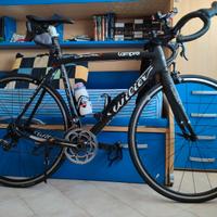BDC WILIER CENTO1