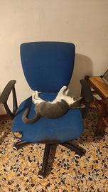Sedia da ufficio