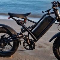 Fat e bike bicicletta elettrica 1000w