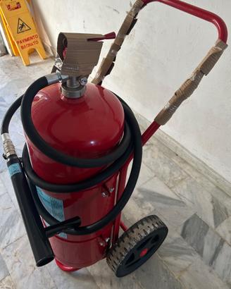 Estintore a carrello 50 kg