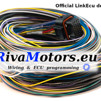 Cablaggio Loom A+B LINKECU G4X XTREMEX