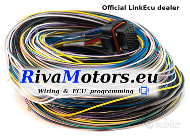 Cablaggio Loom A+B LINKECU G4X XTREMEX