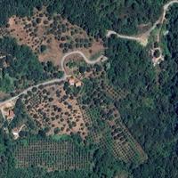 Vendiamo terreno di 26500 metri quadri in Cilento