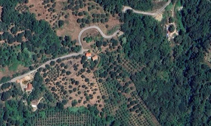 Vendiamo terreno di 26500 metri quadri in Cilento