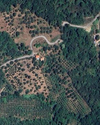 Vendiamo terreno di 26500 metri quadri in Cilento