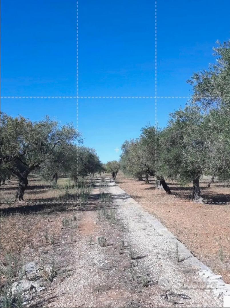 Terreno rustico - Vista 5