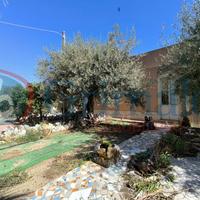 Casa Indipendente Messina [0618/1853VRG]