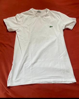 Maglia bianca lacoste