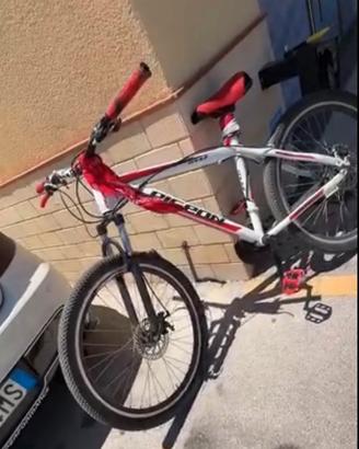 Bicicletta da Wheelie