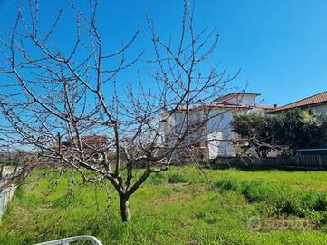TER. RESIDENZIALE A NOTARESCO