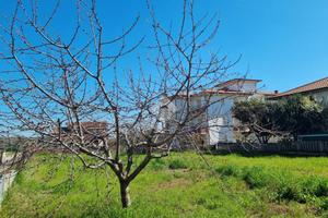 TER. RESIDENZIALE A NOTARESCO