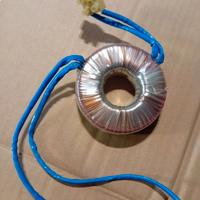 Trasformatore toroidale nuovo 